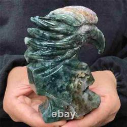 860g Natural ocean jasper eagle skull hand carved Quartz Crystal skull Healing