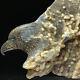 899g Of Natural Crystal Quartz Mineral Specimens Were Hand Carved Eagle Boutique