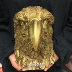9.9LB Hand-carved eagle skull head Furnishing articles ornaments OT1948