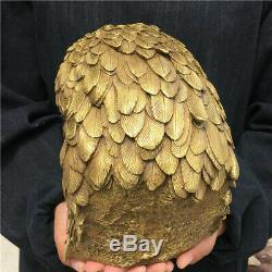 9.9LB Hand-carved eagle skull head Furnishing articles ornaments OT1948