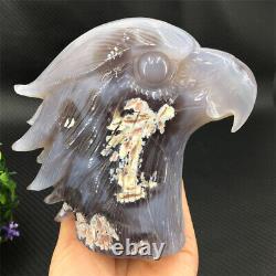 900g Natural Agate Geode Quartz Eagle Skull Hand Carved Crysta Healing. TC215
