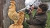 Amazing Chainsaw Woodcarving Real Size Chicken For 1 Day