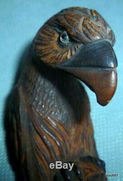 Antique Black Forest Hand Carved Wood Eagle Bird Handle Cane Umbrella