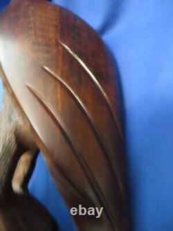 Awesome Large Kino Bay Mexico Iron Wood Hand Carved Polished Eagle 12