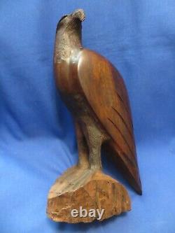 Awesome Large Kino Bay Mexico Iron Wood Hand Carved Polished Eagle 12