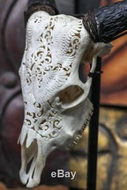 Beautiful Eagles Hand Carved Steer/ Cow Skull with Horns/ Bull/ Longhorns/