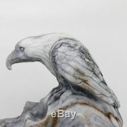 Black white stripe stone Hand Carved Eagle Skull Crystal Healing Realistic K793