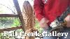 Carving A Wood Eagle Fall Creek Gallery Statue Shop 317 493 8583