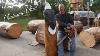 Chainsaw Carving A Standing Eagle Time Lapse Chainsaw Carving