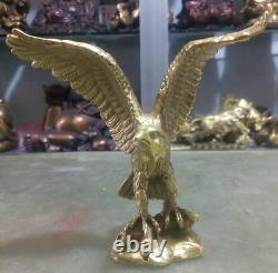 Chinese Fengshui Brass king of birds Eagle Hawk Animal sculpture Statue