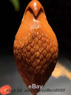 Chinese Olive Dentoliva Hand-carved Animal Hawk Eagle Bird King Pendant LZJ-062