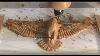Cnc Router Carving An Amazing 3d American Bald Eagle