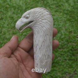 Eagle Head Carving 115mm Length Handle H1166 in Antler Bali Hand Carved