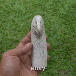 Eagle Head Carving 115mm Length Handle H1166 in Antler Bali Hand Carved