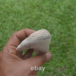 Eagle Head Carving 115mm Length Handle H1166 in Antler Bali Hand Carved