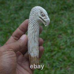 Eagle Head Carving 120mm Length Handle H1047 in Antler Bali Hand Carved