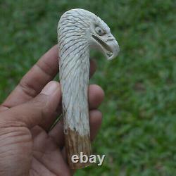 Eagle Head Carving 120mm Length Handle H1047 in Antler Bali Hand Carved