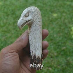 Eagle Head Carving 127mm Length Handle H997 in Antler Bali Hand Carved