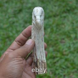 Eagle Head Carving 129mm Length Handle H1049 in Antler Bali Hand Carved