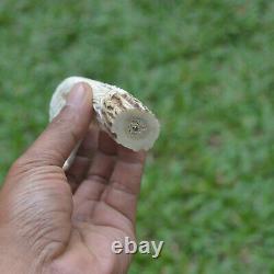 Eagle Head Carving 129mm Length Handle H1049 in Antler Bali Hand Carved