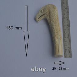 Eagle Head Carving 130mm Length Handle H1158 in Antler Bali Hand Carved