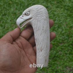 Eagle Head Carving 130mm Length Handle H1159 in Antler Bali Hand Carved