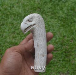 Eagle Head Carving 130mm Length Handle H1159 in Antler Bali Hand Carved