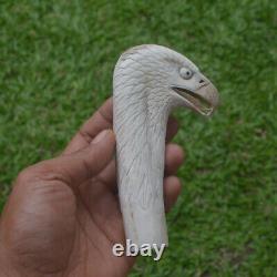 Eagle Head Carving 130mm Length Handle H1159 in Antler Bali Hand Carved