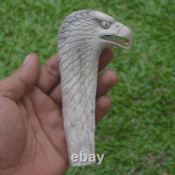 Eagle Head Carving 130mm Length Handle H1164 in Antler Bali Hand Carved