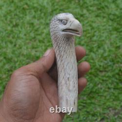 Eagle Head Carving 130mm Length Handle H1164 in Antler Bali Hand Carved