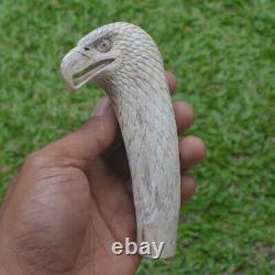 Eagle Head Carving 130mm Length Handle H1164 in Antler Bali Hand Carved