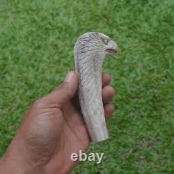 Eagle Head Carving 130mm Length Handle H1164 in Antler Bali Hand Carved