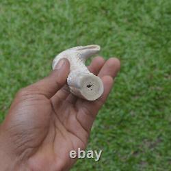 Eagle Head Carving 130mm Length Handle H1164 in Antler Bali Hand Carved