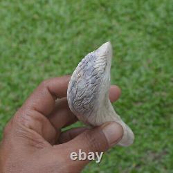 Eagle Head Carving 130mm Length Handle H1164 in Antler Bali Hand Carved