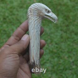 Eagle Head Carving 133mm Length Handle H628 in Antler Bali Hand Carved