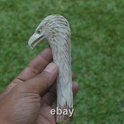 Eagle Head Carving 133mm Length Handle H628 in Antler Bali Hand Carved