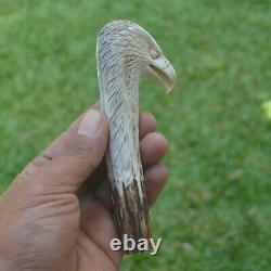 Eagle Head Carving 133mm Length Handle H996 in Antler Bali Hand Carved