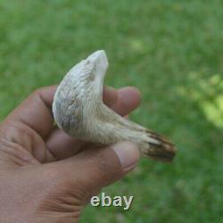 Eagle Head Carving 133mm Length Handle H996 in Antler Bali Hand Carved