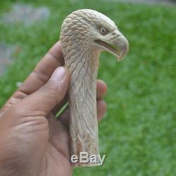 Eagle Head Carving 134mm Length Handle H897 in Antler Bali Hand Carved