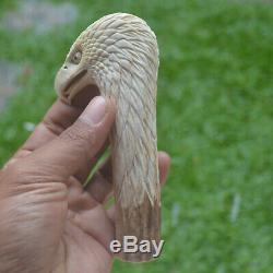 Eagle Head Carving 134mm Length Handle H897 in Antler Bali Hand Carved