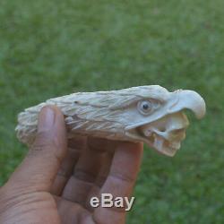 Eagle Head Carving 137mm Length Handle H697 in Antler Bali Hand Carved