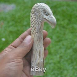 Eagle Head Carving 137mm Length Handle H896 in Antler Bali Hand Carved
