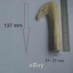 Eagle Head Carving 137mm Length Handle H896 in Antler Bali Hand Carved
