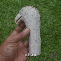 Eagle Head Carving 138mm Length Handle H1165 in Antler Bali Hand Carved
