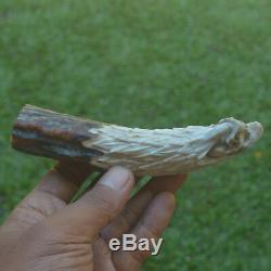 Eagle Head Carving 138mm Length Handle H696 in Antler Bali Hand Carved