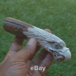 Eagle Head Carving 138mm Length Handle H696 in Antler Bali Hand Carved