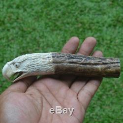 Eagle Head Carving 145mm Length Handle H496 in Antler Bali Hand Carved