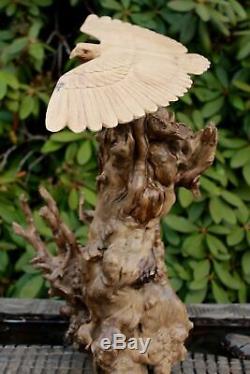 Eagle Wood Carving Bird of Raptor Sculpture Natural Root hand carved Bali Art