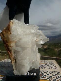 Fighting EAGLE Stone Bird Figurine Hand Carved in Brazil Clear Quartz Base