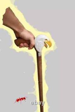 Hand Carved Eagle Head Handle Wooden Walking Stick Bird Walking Handmade Cane1